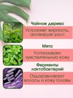 Шампунь для захисту кольору з пробіотиками Masil 5 Probiotics Color Radiance Shampoo 300 мл - Зображення 3