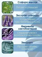 Шампунь для об'єму волосся з пробіотиками Masil 5 Probiotics Perfect Volume Shampoo 150 мл - Зображення 3