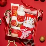 Новорічний подарунковий набір Christmas Box NaNiBeauty