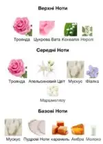 Парфюмированная вода унисекс Gulf Orchid Musk Cotton Candy распив 10 мл — изображение 3