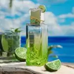 Парфумована вода унісекс Gulf Orchid Mojito Obsession розпив 10 мл